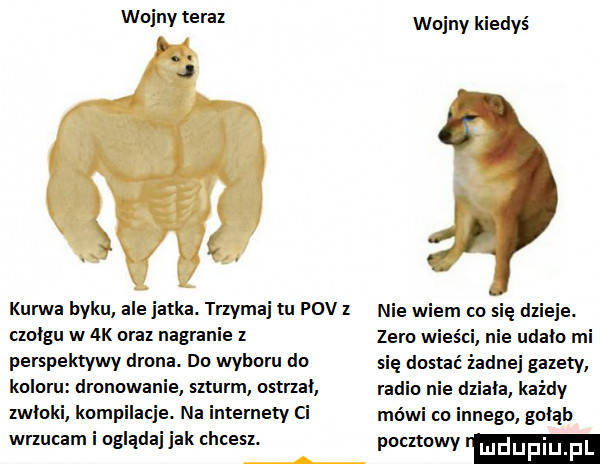 anny tera wojny kiedyś kurwa byku ale jatka. trzymaj u pcv nie wiem on się dzieje. aol-u w ak uraz nagranie z zero wies c nie udała mi perspektywy duma. do wyboru do się dostać zadnej gazety. kulnru drenowanie szturm nsuzal. rudi e dziala kazdy zwłoki knmpilaq e. na intemely ci módl on innego golab wrzucam i nglądaj jak chcesz. poczmwy