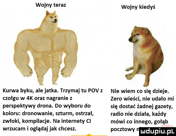 anny tera wojny kiedyś kurwa byku ale jatka. trzymaj u pcv nie wiem on się dzieje. aol-u w ak uraz nagranie z zero wies c nie udała mi perspektywy duma. do wyboru do się dostać zadnej gazety. kulnru drenowanie szturm nsuzal. rudi e dziala kazdy zwłoki knmpilaq e. na intemely ci módl on innego golab wrzucam i nglądaj jak chcesz. poczmwy