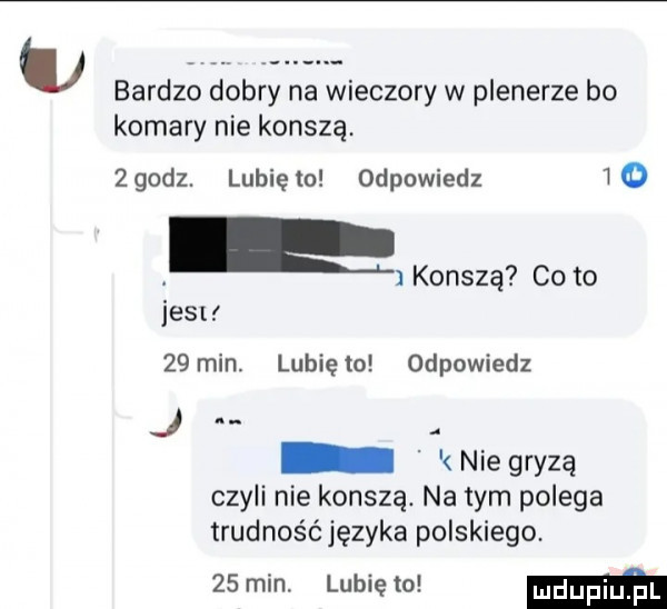w bardzo dobry na wieczory w plenerze bo komary nie konszą. zgodz. lubiem odpowiedz   jusu konszą co to    min lunięto odpowiedz j nie gryzą czyli nie konszą. na tym polega trudnośćjęzyka polskiego.    min. lubię to m