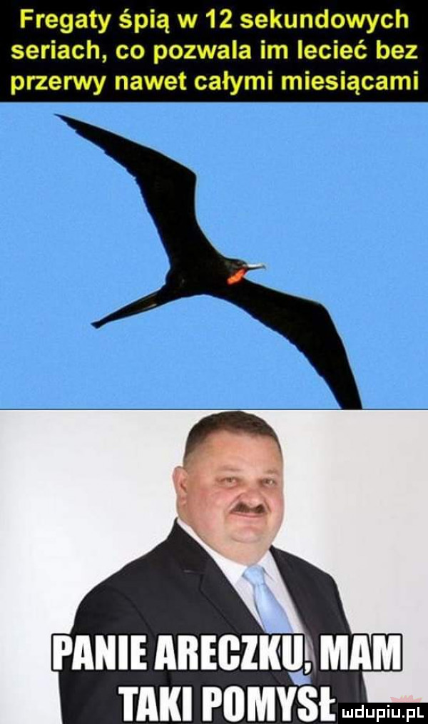 fregaty śpią w    sekundowych seriach co pozwala im lecieć bez przerwy nawet całymi miesiącami taki pomysł w