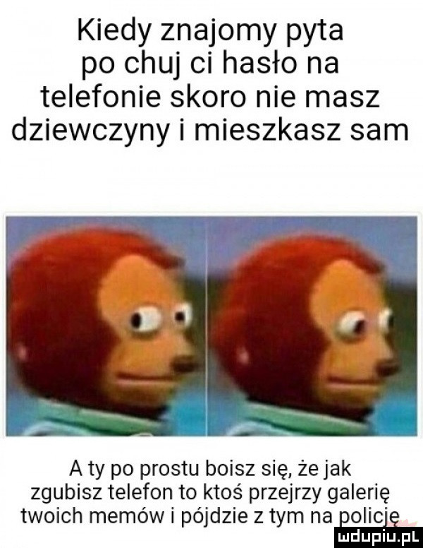kiedy znajomy pyta po chuj ci hasło na telefonie skoro nie masz dziewczyny i mieszkasz sam z. a ty po prestu boisz się że jak zgubisz telefon to ktos przejrzy galerię twoich memów pójdzie złym na eolic i