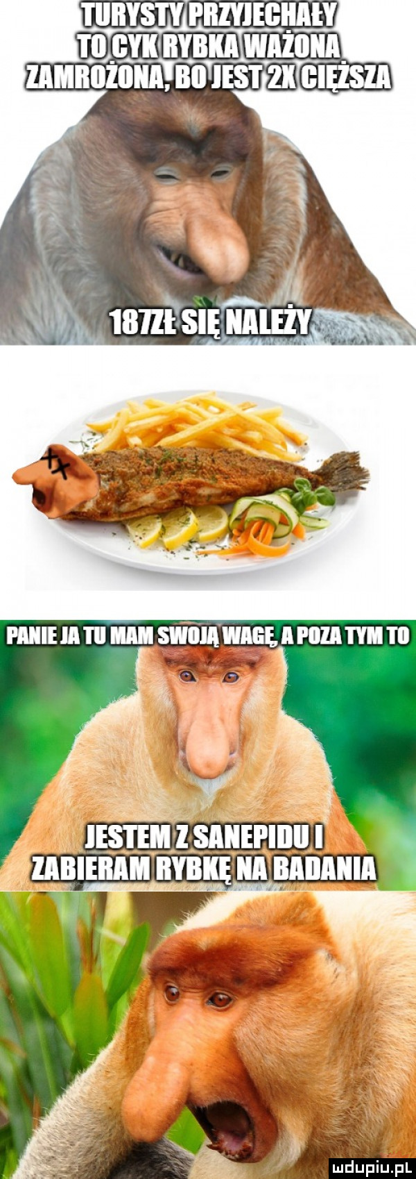 i iiiiys i y i iiiyieeijih ted gaik bybiia wazon llllllliżiiiia l lal les i  k giętsza