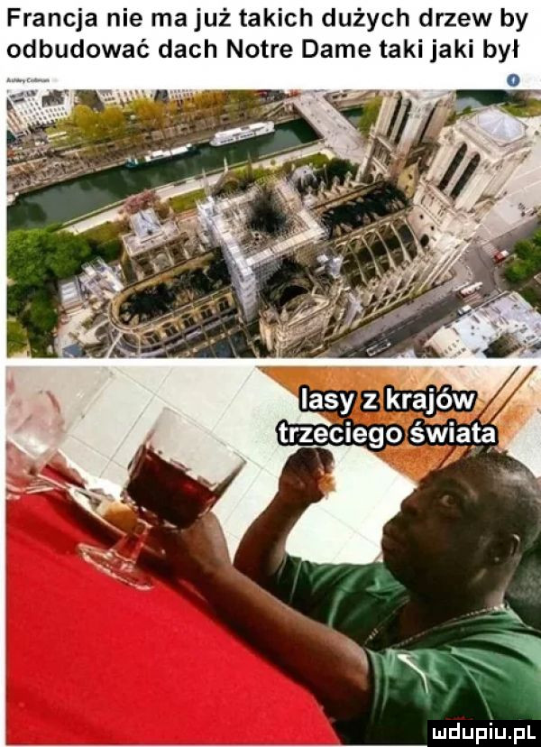 francja nie ma już takich dożyc drzew by odbudować dach notce dame taki jaki byl  .  x na