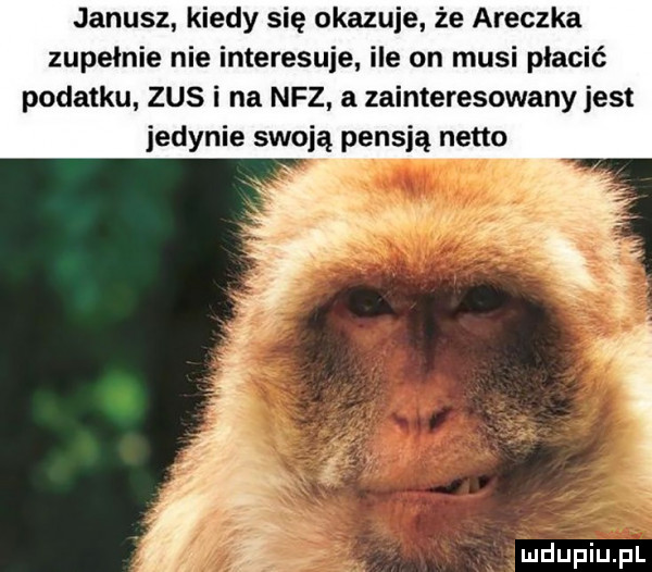 janusz kiedy się okazuje że aneczka zupełnie nie interesuje ile on musi płacić podatku zus i na nfz a zainteresowany jest jedynie swoją pensją netto