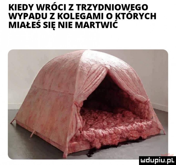 kiedy wróci z trzydniovilego wypadu z kolegami o ktorych miałes się nie martwic inidupiupl