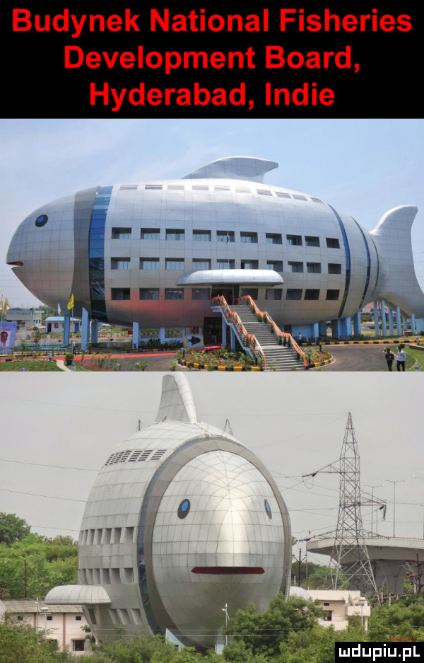 budynek national fisheries development board hyderabad indie yam mil