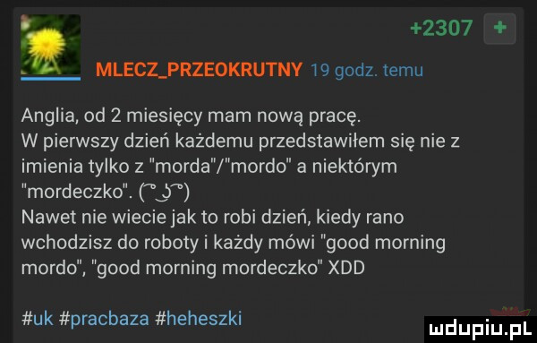 i mleclprzeokrutny    godz. temu anglia od   miesięcy mam nową pracę. w pierwszy dzień każdemu przedstawiłem sie nie z imienia tylko z morda mordo a niektórym mordeczko. lj nawet nie wiecie jak to robi dzień kiedy rano wchodzisz do roboty i każdy mówi geod morfing mordo geod morfing mordeczko xdd uk pracbaza heheszki