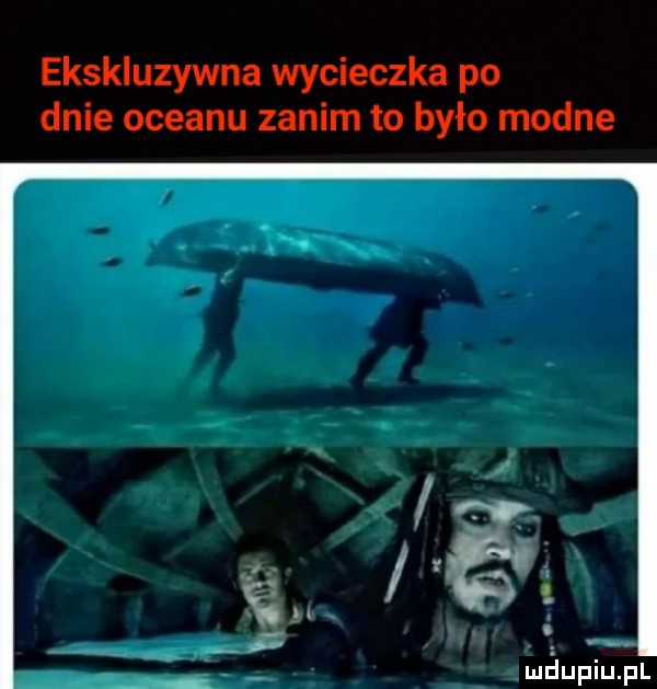 ekskluzywna wycieczka po dnie oceanu zanim to było modne