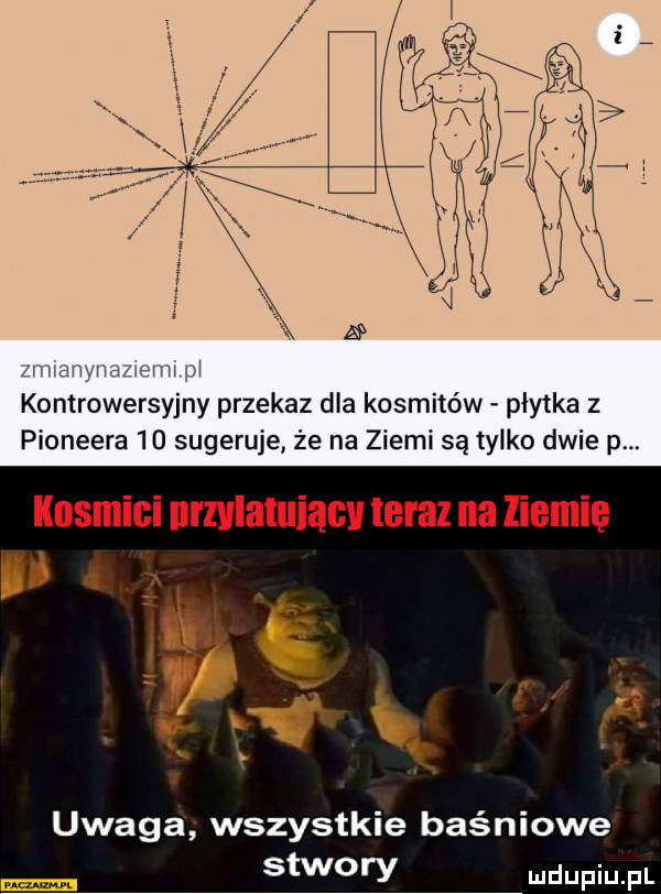 miianynauemi pi kontrowersyjny przekaz dla kosmitów płytka z pioneera    sugeruje że na ziemi są tylko dwie p. kiisiiiigi nrzylaluiacy teraz na li ii ę ebi uwaga wszystkie baśniowe stwory