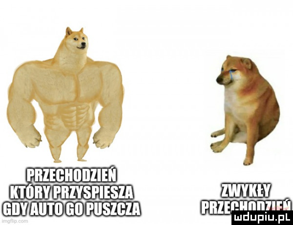 zj pnziuuunum mev rnzvsglgsm my hmmm ibl puszcza rca ragga