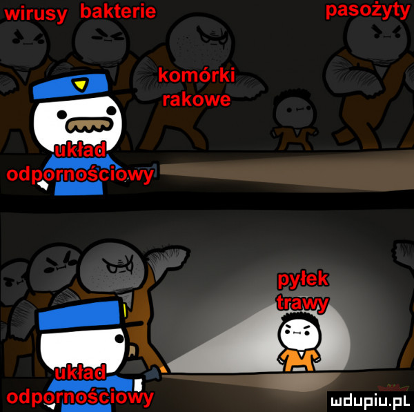 wirusy bakterie pasożyty komórki rakowe m ohp ornie chowy pyłek trawy układ ml odpgrnoé chowy