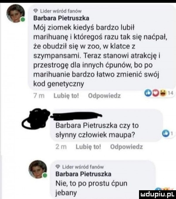 r adm. barbara pietruszka mój ziomek kiedyś bardzo iubii marihuanę i któregoś razu tak się naćpai. że obudził się w    . w klatce z szympansami. teraz stanowi atrakcje i przestrogę dla innych ćpunów bo po marihuanie bardzo łatwo zmienić swój kod genetyczny im w xipuwuwiz   . barbara pietruszka czy to słynny cziownek małpa lisim w www i w lim mm. mm. barbara pietruszka nie to po prestu c pun iebanv mmm