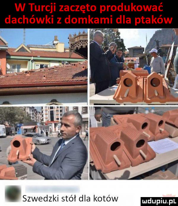 szwedzki stół dla kotów dufqul