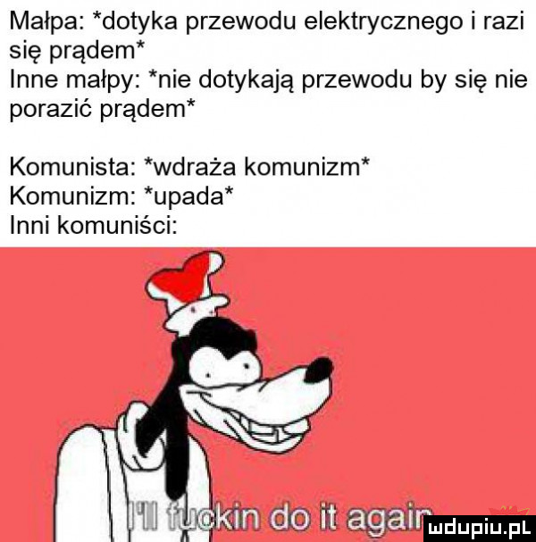 małpa dotyka przewodu elektrycznego i razi się prądem inne małpy nie dotykają przewodu by się nie porazić prądem komunista wdraża komunizm komunizm upada inni komuniści iii f i