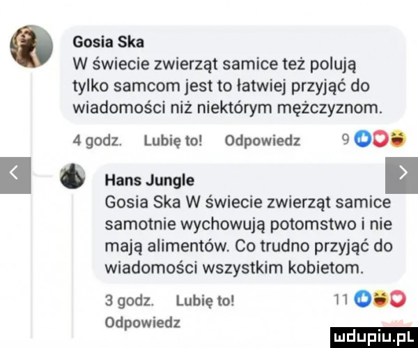 o gosia ska w świecie zwierząt samice też polują tylko samcom jest to łatwiej przyjąć do wiadomości niż niektórym mężczyznom. agodz. lubięxo odpowiedz   . hansjungie gosia ska w świecie zwierząt samice samotnie wychowują potomstwo i nie mają alimentów co trudno przyjąć do wiadomości wszystkim kobietom.   godz. lubię to i       odpowiedz