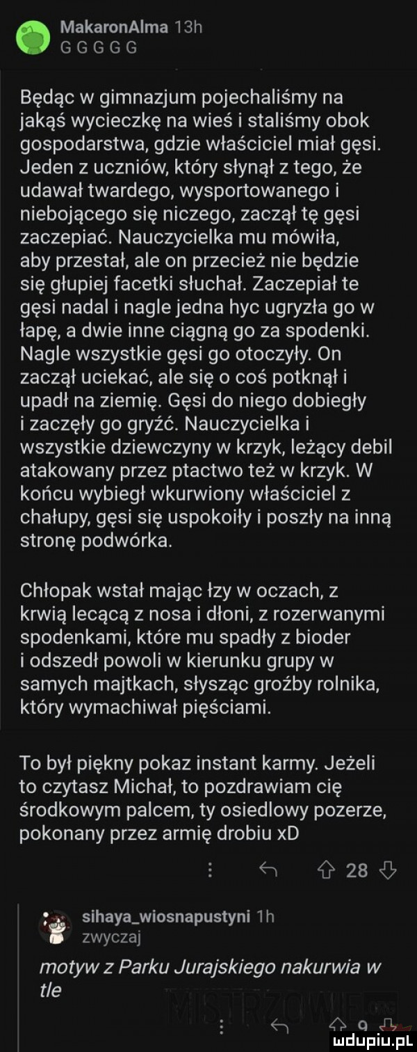 makaronaima   h g g g g g będąc w gimnazjum pojechaliśmy na jakąś wycieczkę na wieś i staliśmy obok gospodarstwa gdzie właściciel miał gęsi. jeden z uczniów. który słynął z tego że udawał twardego wysportowanego i niebojącego się niczego zaczął tę gęsi zaczepiać. nauczycielka mu mówiła aby przestał ale on przecież nie będzie się głupiej facetki słuchał. zaczepiał te gęsi nadal i naglejedna hyc ugryzła go w łapę a dwie inne ciągną go za spodenki. nagle wszystkie gęsi go otoczyły.  n zaczął uciekać ale się o coś potknął i upadł na ziemię gęsi do niego dobiegły iżaczęły go gryźć. nauczycielka i wszystkie dziewczyny w krzyk leżący debil atakowany przez ptactwo też w krzyk. w końcu wybiegł wkurwiony właściciel z chałupy gęsi się uspokoiły i poszły na inną stronę podwórka. chłopak wstał mając łzy w oczach z krwią lecącą z nosa i dłoni z rozerwanymi spodenkami które mu spadły z bioder i odszedł powoli w kierunku grupy w samych majtkach słysząc groźby rolnika który wymachiwał pięściami. to byl piękny pokaz instant karmy. jeżeli to czytasz michał to pozdrawiam cię środkowym palcem ty osiedlowy pozerze pokonany przez armię drobiu xd       sihaya wiosnapustyni  h zwyczaj motyw z parku jurajskiega nakurwia w tle    q ij mduplu pl