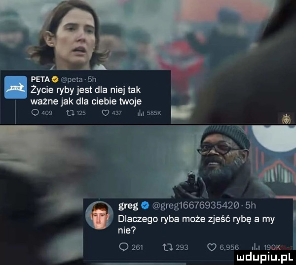 peta. peta v sh zycie ryby jest dla nie tak wazne jak dla ciebie twoje o       o      l max dlaczego ryba może zjeść rybę a my nie. o    l      o       i     k mduplu pl   greg greg             h