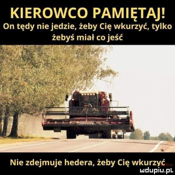 kierowco pamiętaj on tędy niejedzie żeby cię wkurzyć tylko żebyś miał cojeść nie zdejmuje hedera żeby cię wkurzyć