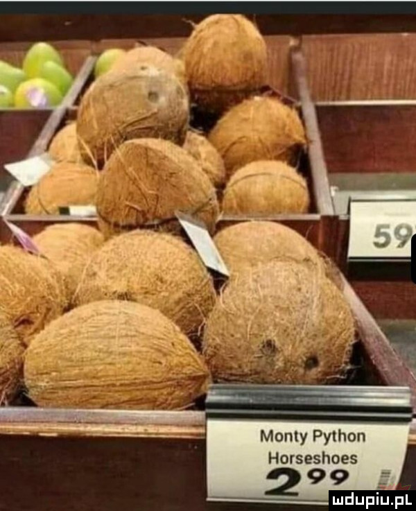 manty python horseshoes