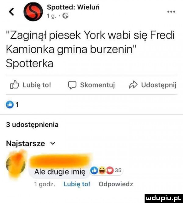 spotted wieluń   g. o zaginął piesek york wabi się fredi kamionka gmina burzenin spotterka eb lubię to c skomentuj a udostępnij      udostępnienia najstarsze v ae uhle imię        godz. lubię to odpowiedz ludu iu. l