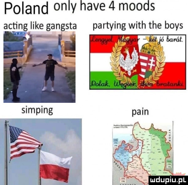 poland orly hace   moods acting like gangsta partying with tee boks