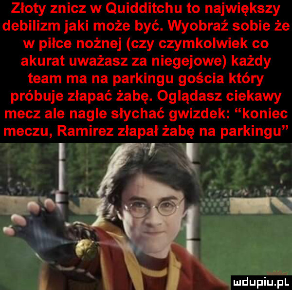 złoty znicz w quidditchu to największy debilizm jaki może być. wyobraź sobie że w piłce nożnej czy czymkolwiek co akurat uważasz za niebejowe każdy team ma na parkingu gościa który próbuje złapać żabę. oglądasz ciekawy mecz ale nagle słychać gwizdek koniec meczu ramirez złapał żabę na parkingu mdupiu. śl