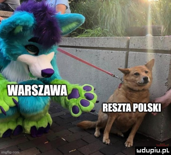 x. i x x. x. abakankami mmpm