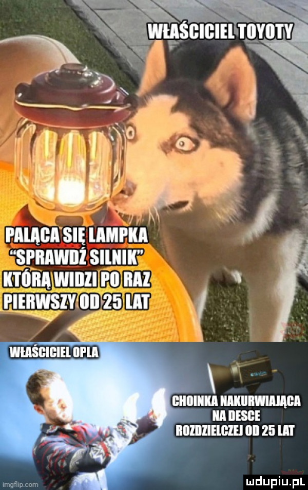 k pmagisię lampka sprawdż slllllll która wiihi pii ml pieiiwsiv iiime la i   whisbieiei. lal ll a iﬂlllllilﬂlﬂ ilii    iii
