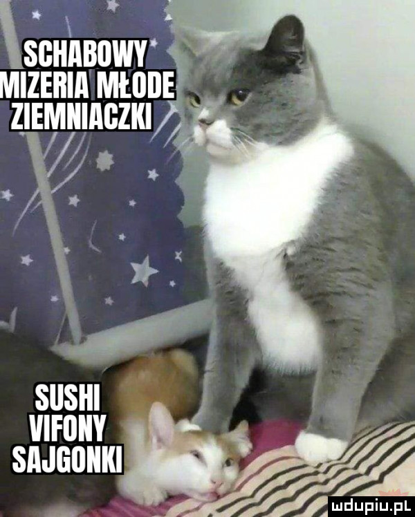 scuhnuwr mizeria młllile ziemnmczm mronv snaaomu