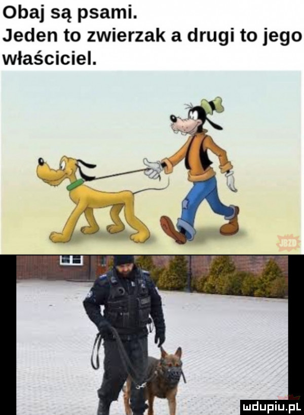 obaj są psami. jeden to zwierzak a drugi to jego właściciel