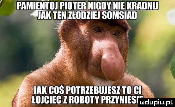 panien tiki piiitlii iiiiiijy icie iiiiiiil id ilii i ebi  i  iiliei sllmsiiiii a iiiii bieś i ii i iizeiiiiiesi ty iluxk mam l iiiiiiii i v i iiiviiiesilus piu. pl