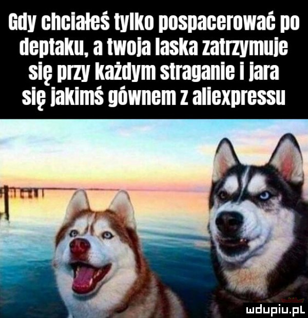 iiiiv chciałeś wiiiii iiosiieiiibiowiiii iii deptaku. a mia laska zalrzvmuie się iiizv każdym straganie i igra sil iakimś gownem z aliexpressu