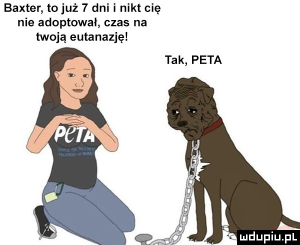 baxter to już   dni i nikt cię nie adoptował czas na twoją eutanazję tak peta