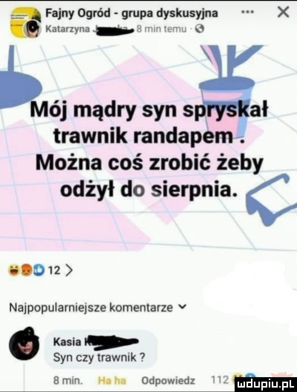 afajny ogród grupa dyskusyjna x awmrzyna a w c  trawnik randapem ał można coś zrobić żeby odżył do sierpnia.       najpopularniejsze komentarze v. kasia i syn czy trawnik   mln ha na odpowiedz