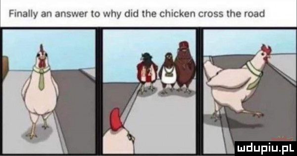 fmally an answer io wdy ddd tee chicken cross tee ruad