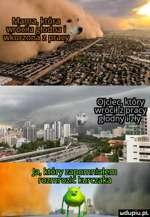 jimmy zapomniałem rozmrozić mm