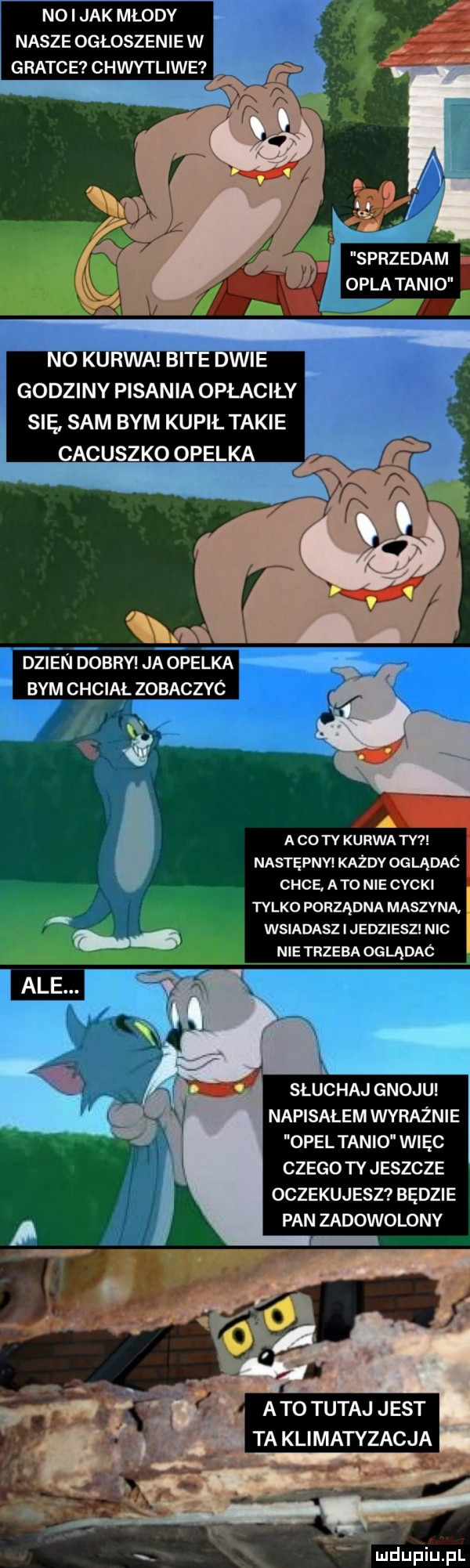 nai jak młody nasze ogłoszenie w gratce chwytliwe sprzedam opla tanio no kurwa bite dwie godziny pisania opłaciły się sam bym kupił takie cacuszko operka dzienebry ja operka bym chciał zobaczyc a co tv kurwa tv następny każdy oglądaó chce abo nie cycki tylko porządna maszyna. wsiadasz i jedziesz nic nie trzeba oglądac słuchaj gnoju napisałem wyraźnie opel tanio więc czego tyjeszcze oczekujesz będzie pan zadowolony. i m  . n v it.   atotutajjest a taklimatyzacja w