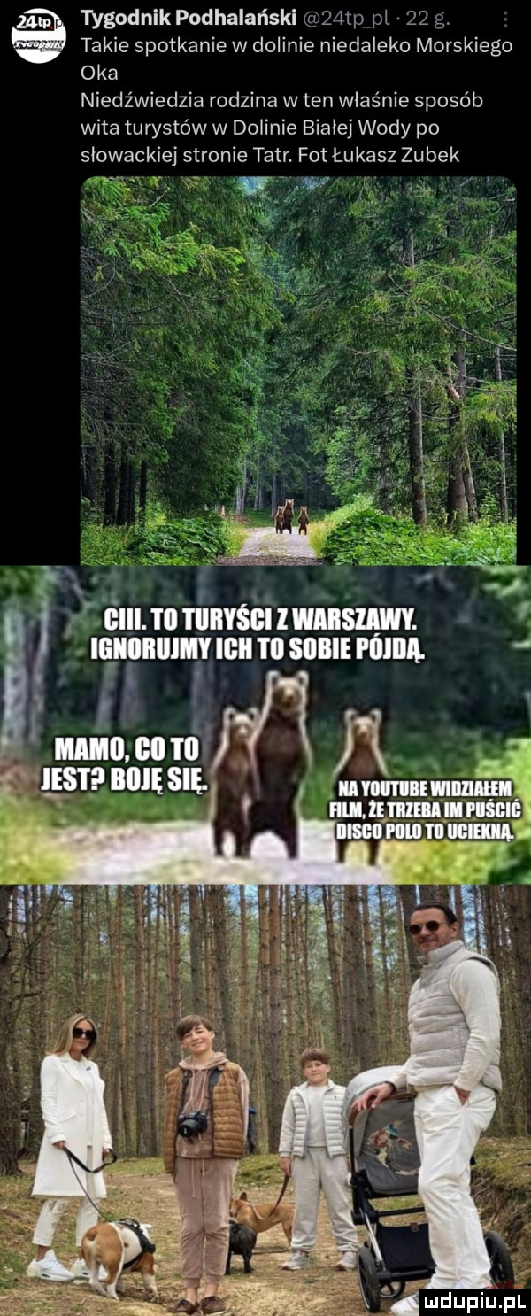 tygodnik podhalański q lep pi    g takie spotkanie w dolinie niedaleko morskiego oka niedźwiedzia rodzina w ten właśnie sposób wita turystów w dolinie białej wody po słowackiej stronie tatr. for łukasz zubek nr w iiiii. iii tiiiiysgi l wiiisziiwy. ięiioiiiiimy ilii i ll skibie i iiiiiii. imac mw iest iinę się. maximum