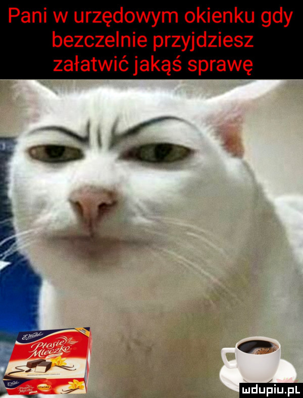 pani w urzędowym okienku gdy bezczelnie przyjdziesz załatwić jakąś sprawę