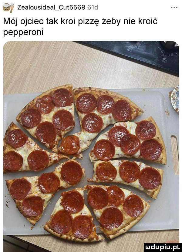 zealousideai cat     em mój ojciec tak kroi pizzę żeby nie kroić pepperoni ludu iu. l