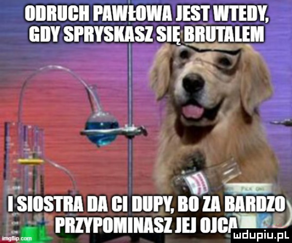 iiiibiigii pawłiiwa ihs i wtedy eiiy spiiysimsi się bllll l lale d smsnm lal gl qu lm ii bird l rnzvrumunsz ih ulem