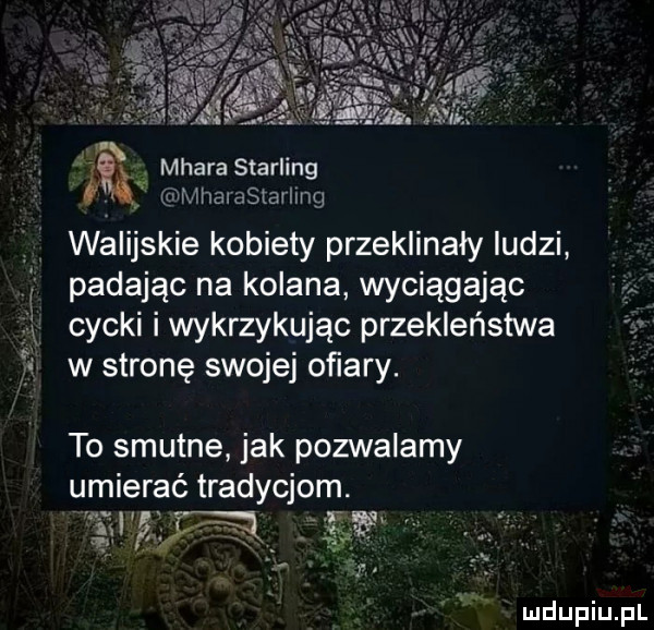 n lh. avia. miara sterling nvlhalastarlmg walijskie kobiety przeklinały ludzi padając na kolana wyciągając cycki i wykrzykując przekleństwa w stronę swojej oﬁary. ł s to smutne jak pozwalamy umierać tradycjom