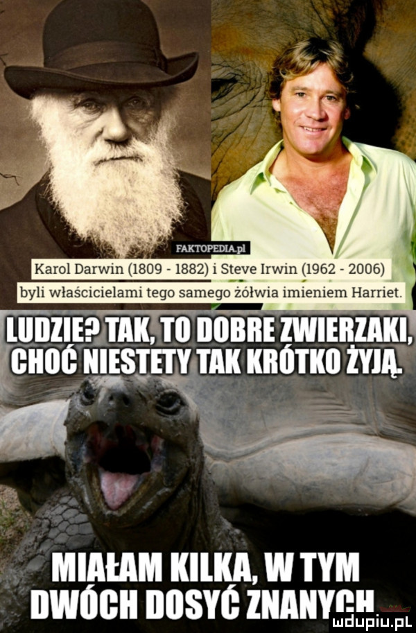 faktopediapi karol darem             steve irom           byli włascicielaml tego samego zołwxa imieniem harriet. lunżiiśi mxłm iiiﬁii zwunznxl ence gamą imam ma i q miałam kilka w tym iiwógii iiiisyó znani