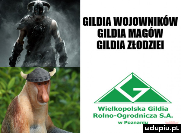 giliiia williiwiiikńw glllllll mew gililia lłliiiliei ą wielkopolska g a rojno ogrodnicza s a. w poznan