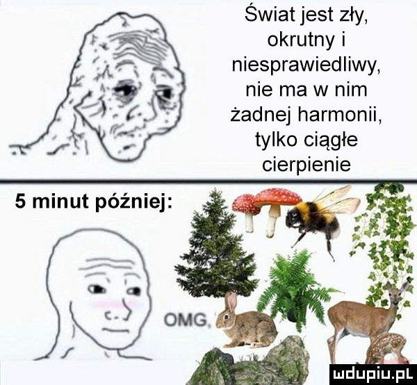 świat jest zły okrutny i niesprawiedliwy nie ma w nim żadnej harmonii tylko ciągłe cierpienie mdupiup