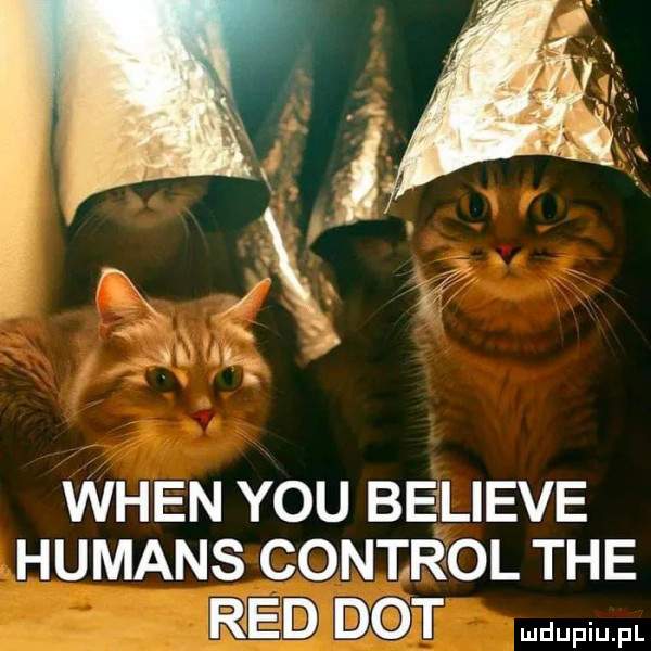 wien y-u believe humans control tee re d dat