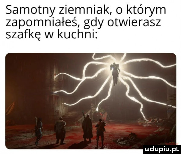 samotny ziemniak o którym zapomniałeś gdy otwierasz szafkę w kuchni