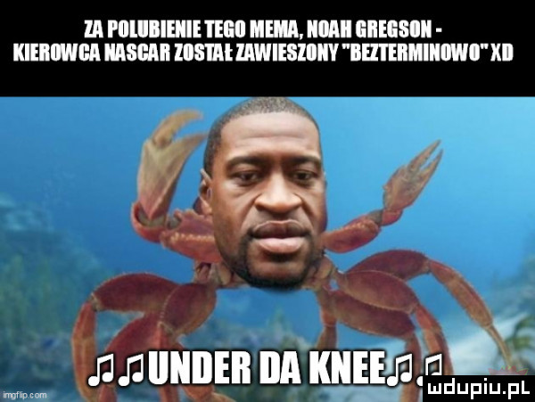 m pllllllliie l elill eda iiiiai gieesiii klllllﬂlil hawaii uam iawiesiiiiv ieiieiimiiiwii xvi munninnnxnﬂﬂa ik ludupiu. pl