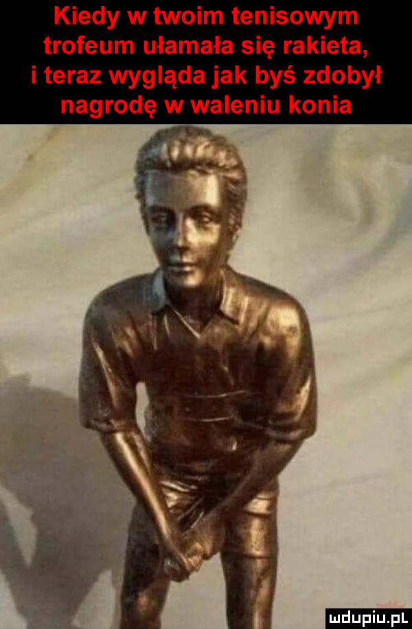 kiedy w twoim tenisowym trofeum ułamała się rakieta i teraz wygląda jak byś zdobył nagrodę w waleniu konia ludu iu. l