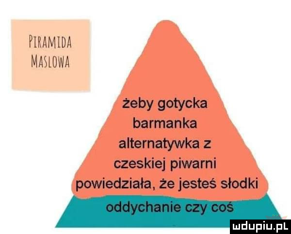 piramida mmuwa żeby gotycka barmanka alternatywna z czeskiej piwarni powiedziała że jesteś słodki